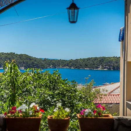 Διαμέρισμα Juric *